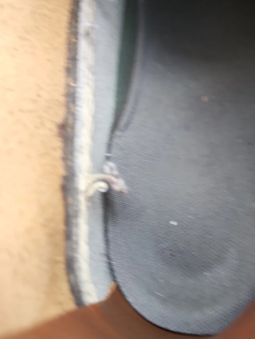 LL Bean 6